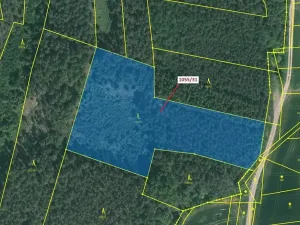 Dražba lesa, Milavče, 9168 m2