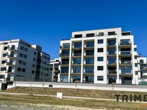 Prodej bytu 2+kk, Opava - Předměstí, Císařského pluku, 60 m2