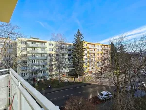 Prodej bytu 3+1, České Budějovice, L. M. Pařízka, 61 m2