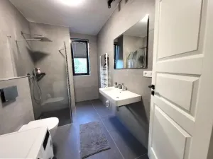 Prodej bytu 1+kk, Tábor, Bechyňská, 38 m2