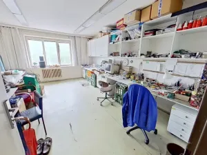 Pronájem obchodního prostoru, Třebíč - Borovina, 560 m2