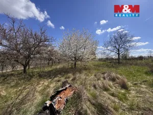 Prodej chaty, Hrušovany u Brna, 21 m2