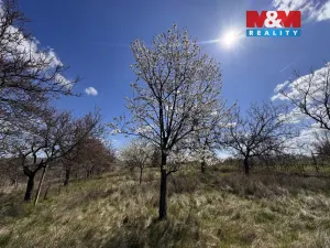 Prodej chaty, Hrušovany u Brna, 21 m2