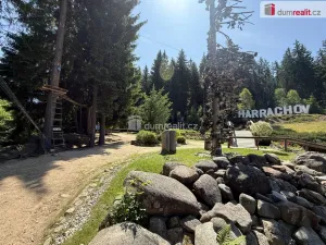 Prodej bytu 2+kk, Harrachov, 69 m2