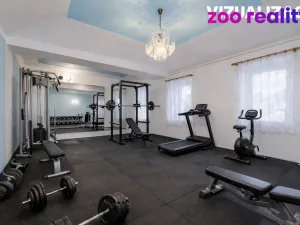 Prodej rodinného domu, Chorušice - Velký Újezd, 200 m2