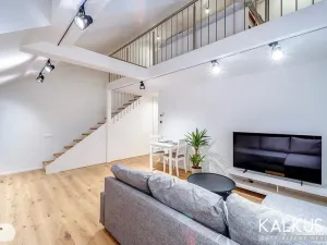 Pronájem bytu 2+kk, Hradec Králové, Eliščino nábřeží, 52 m2