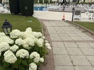 Prodej bytu 2+kk, Sozopol, Bulharsko, 57 m2