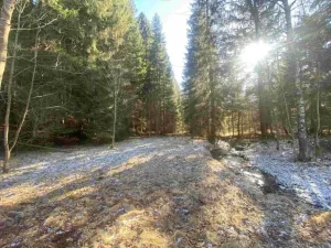 Dražba pozemku, Čachrov, 10377 m2