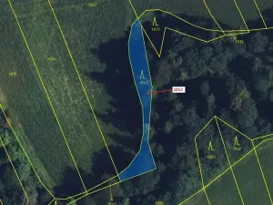 Dražba lesa, Spešov, 500 m2