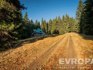 Prodej chalupy, Harrachov - Ryžoviště, 279 m2