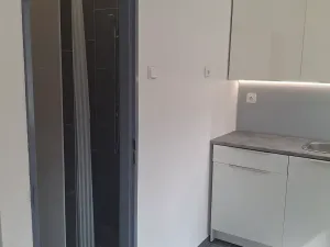 Pronájem bytu 1+kk, Žatec, Boženy Němcové, 31 m2