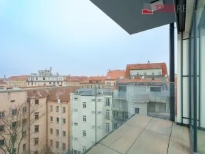 Pronájem bytu 5+kk, Praha, Belgická, 259 m2