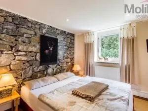 Prodej vícegeneračního domu, Jonsdorf, 320 m2