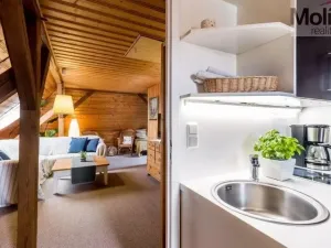 Prodej vícegeneračního domu, Jonsdorf, 320 m2