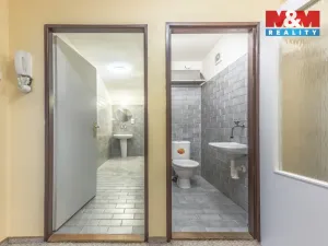 Prodej rodinného domu, Zdiby, Průběžná, 272 m2