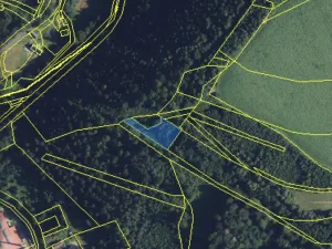 Prodej lesa, Jedlí, 1198 m2