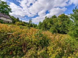 Prodej louky, Bedřichov