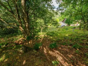 Prodej louky, Bedřichov