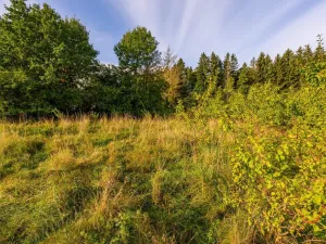 Prodej pozemku pro bydlení, Liberec - Liberec XIX-Horní Hanychov