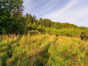 Prodej pozemku pro bydlení, Liberec - Liberec XIX-Horní Hanychov, 1533 m2