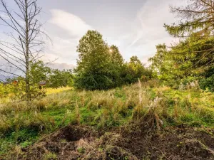 Prodej pozemku pro bydlení, Liberec - Liberec XIX-Horní Hanychov, 1533 m2
