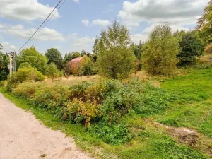 Prodej louky, Bedřichov, 3741 m2