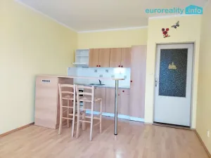 Pronájem bytu 1+kk, Liberec, Jeronýmova, 30 m2