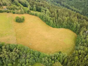 Prodej louky, Víchová nad Jizerou, 23358 m2