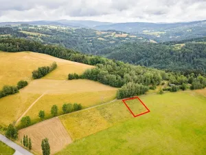 Prodej louky, Víchová nad Jizerou, 991 m2