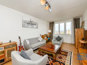 Prodej bytu 2+1, Plzeň - Doudlevce, Skupova, 62 m2