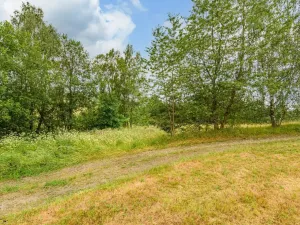 Prodej louky, Víchová nad Jizerou, 1739 m2