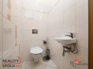 Prodej bytu 1+kk, Praha, 54 m2