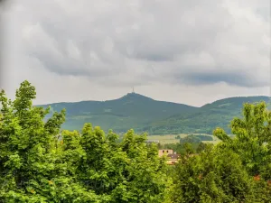 Prodej rodinného domu, Stráž nad Nisou, Schwarzova, 270 m2