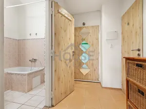 Prodej bytu 2+kk, Praha - Žižkov, Hartigova, 57 m2