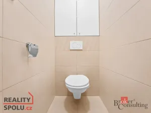 Pronájem bytu 2+1, Mladá Boleslav - Mladá Boleslav II, Bezručova, 61 m2