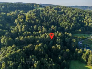 Prodej lesa, Nová Ves nad Nisou, 5031 m2