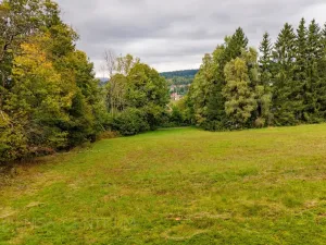 Prodej louky, Maršovice, 4745 m2