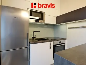 Pronájem bytu 1+kk, Brno - Veveří, Lidická, 42 m2