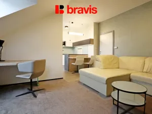 Pronájem bytu 1+kk, Brno - Veveří, Lidická, 42 m2