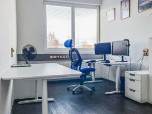 Prodej výrobních prostor, Plzeň, Teslova, 1085 m2