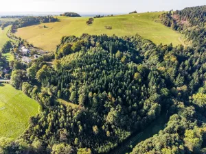 Prodej lesa, Šimonovice, 30343 m2