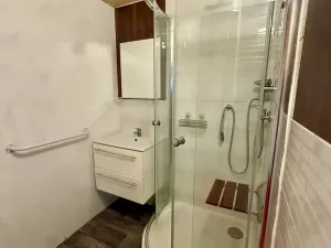 Prodej bytu 2+1, Plzeň, U Borského parku, 58 m2