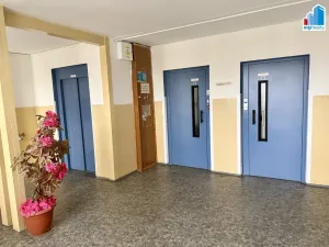 Prodej bytu 2+1, Plzeň, U Borského parku, 58 m2