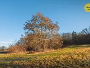 Prodej pozemku pro bydlení, Chrudim - Topol, 2696 m2