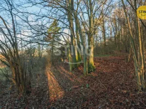 Prodej pozemku pro bydlení, Chrudim - Topol, 2696 m2