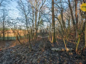 Prodej pozemku pro bydlení, Chrudim - Topol, 2696 m2