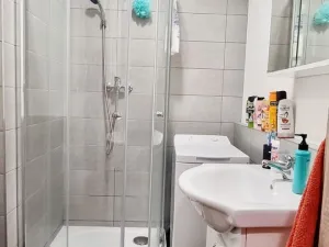 Pronájem bytu 1+1, Opava, 17. listopadu, 38 m2