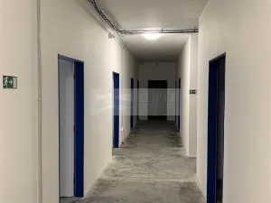 Pronájem skladu, Dobříč, 14 m2