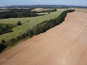 Prodej lesa, Obruby, 3075 m2