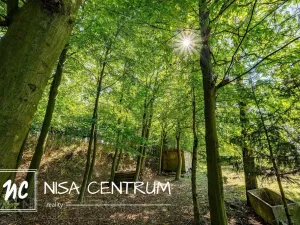 Prodej lesa, Obruby, 3075 m2